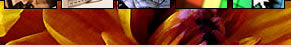 Cr�ation de site web & h�bergement de site interenet - grenoble - is�re - Kreatys